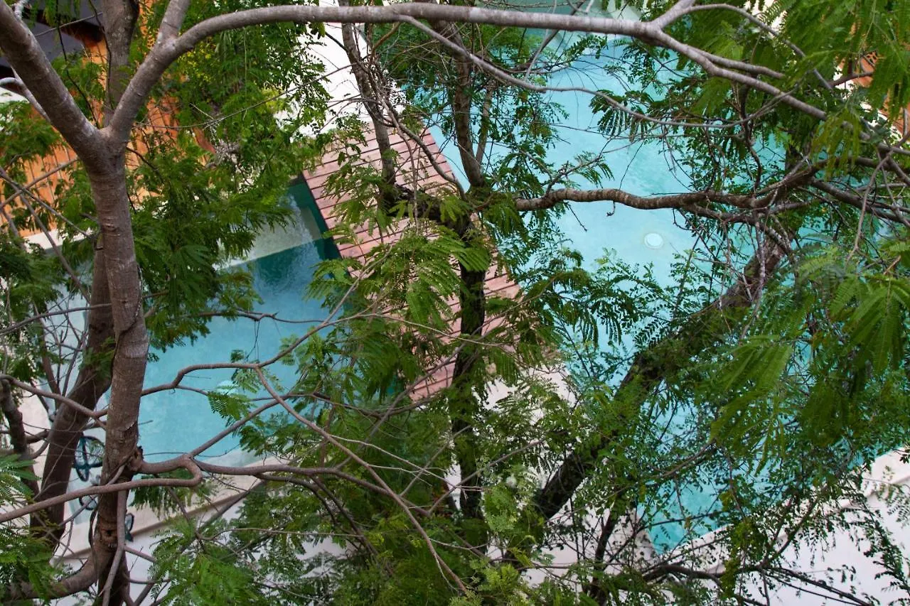 Little Gem Hotel Tulum La Veleta